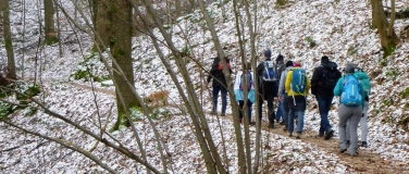 Event-Image for 'Singlewanderung: Freiburg - Zähringer Burg (30-45 J.)'