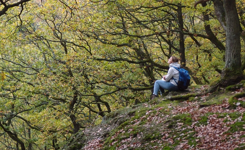 Event-Image for 'Waldbaden4Resilienz - tut Körper, Geist und Seele gut'