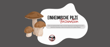 Event-Image for 'Faszination einheimische Pilze'