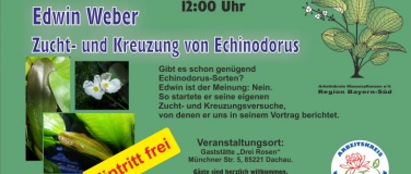 Event-Image for 'Zucht- und Kreuzung von Echinodorus'