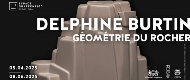 Event-Image for 'Visite commentée avec l'artiste Delphine Burtin'