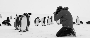 Event-Image for 'Rückkehr zum Land der Pinguine'