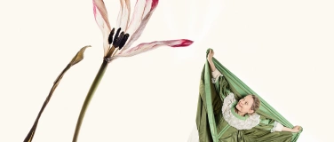 Event-Image for 'Die Metamorphosen der Maria Sibylla Merian'