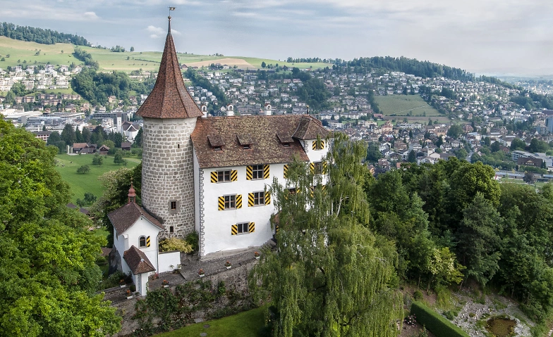 F&uuml;hrung durch das Schloss Schauensee Tickets