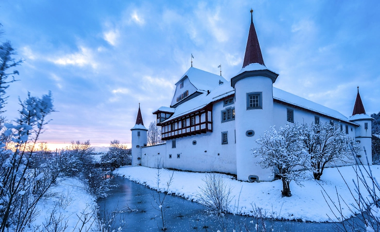 Event-Image for 'Advents- & Weihnachtsmarkt Wasserschloss Wyher'