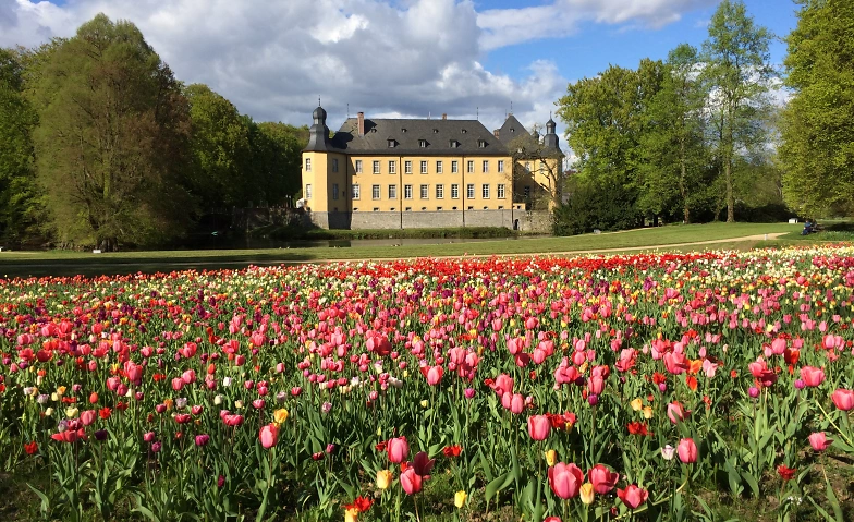 Schlossfr&uuml;hling in Schloss Dyck ${singleEventLocation} Billets