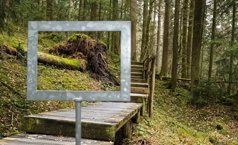 Event-Image for 'Zurück ins Leben - Neustart nach einer Krebserfahrung'