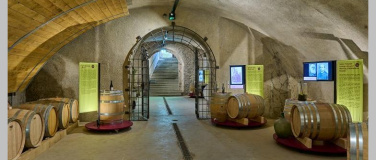 Event-Image for 'Sonderausstellung: 2000 Jahre Wein auf Arenenberg'