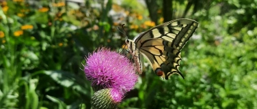 Event-Image for 'Gartenfest'