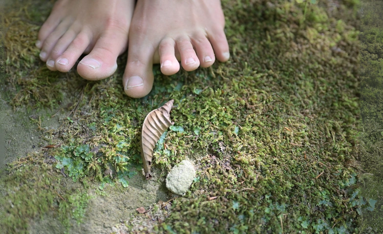 Tanz der Elemente - Verbindung mit K&ouml;rper und Natur Billets