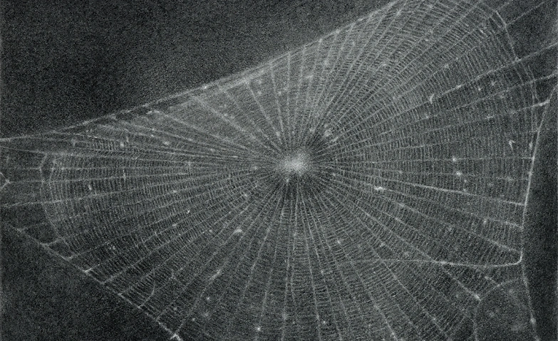 Event-Image for 'Ausstellungsrundgang «Vija Celmins»'