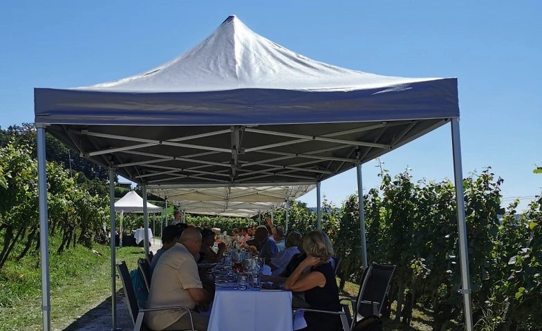 Event-Image for 'Tavolata im Weinberg – Genuss mit Aussicht'