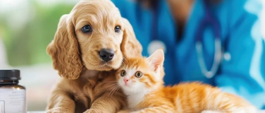 Event-Image for 'FORTPFLANZUNG BEI HUND UND KATZE – Med. Fachvortrag'