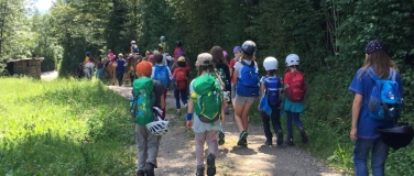 Event-Image for 'Tierische Waldwoche'