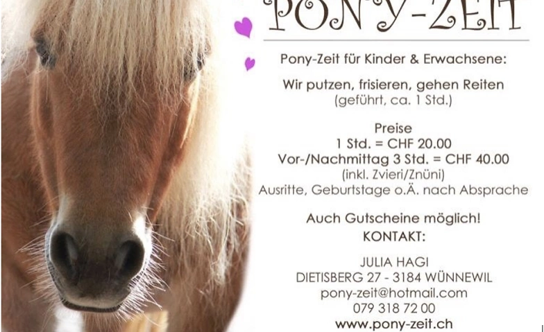 Event-Image for 'Ponyreiten in Wünnewil'