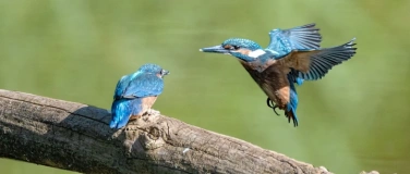 Event-Image for 'BirdLife Nature Centre'