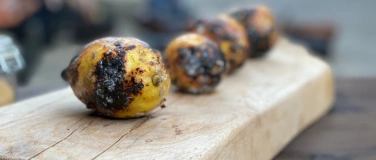 Event-Image for 'Cours de cuisine archaïque sur le feu en forêt  à Lausanne'