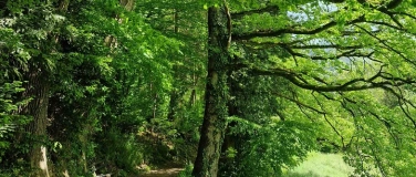Event-Image for 'Der Wald im Wandel - gesunde Wälder trotz  Klimaveränderung'