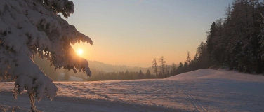 Event-Image for 'Workshop: Adventskranz aus Naturmaterialien herstellen'