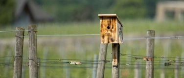 Event-Image for 'Im Rebberg gedeiht mehr als Wein'