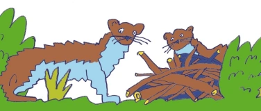 Event-Image for 'Spaziergang: Wieselflinke Nützlinge in der Landwirtschaft'