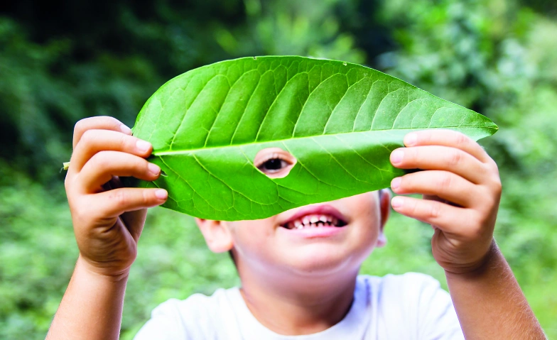 Event-Image for 'Abenteuerlicher Waldtag'