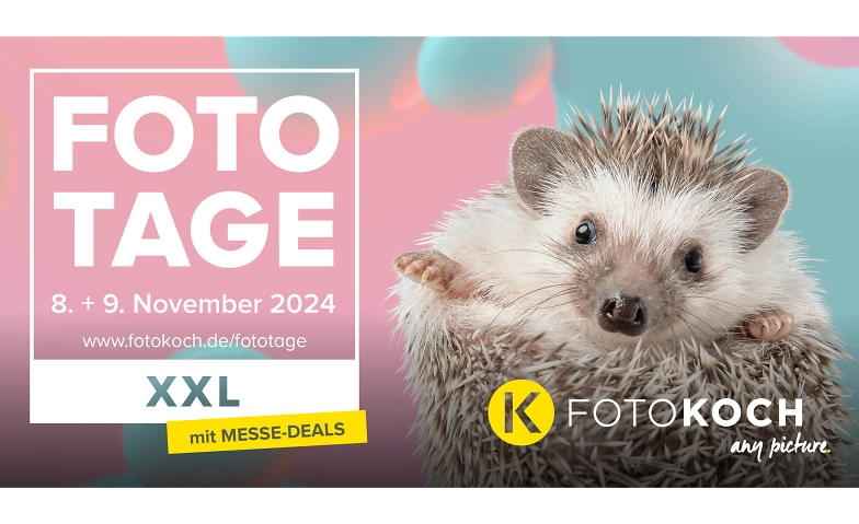 Fototage XXL ${singleEventLocation} Billets