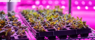 Event-Image for 'youNGW: Exkursion "Vertical Farming"'